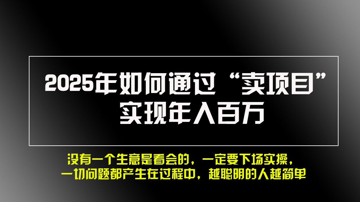 2025年如何通过“卖项目”实现年入百万 - 严选资源大全 - 严选资源大全