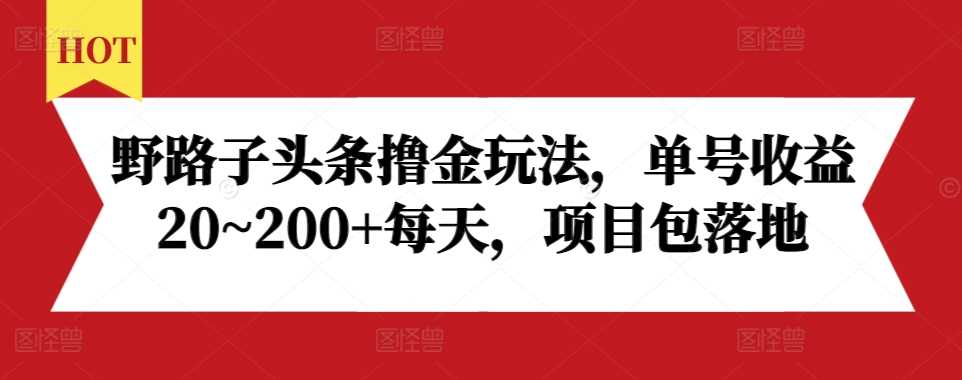 野路子头条撸金玩法，单号收益20~200+每天，项目包落地 - 严选资源大全 - 严选资源大全