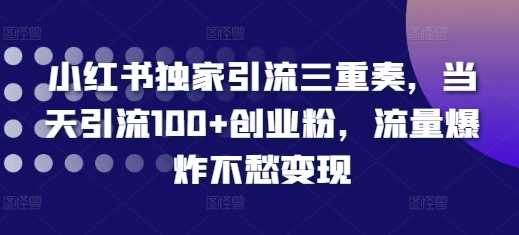 小红书独家引流三重奏，当天引流100+创业粉，流量爆炸不愁变现【揭秘】 - 严选资源大全 - 严选资源大全