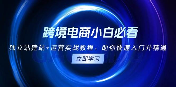 （13502期）跨境电商小白必看！独立站建站+运营实战教程，助你快速入门并精通 - 严选资源大全 - 严选资源大全