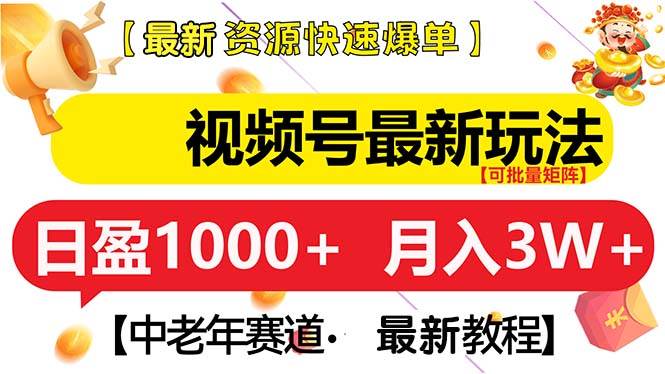 （13530期）视频号最新玩法 中老年赛道 月入3W+ - 严选资源大全 - 严选资源大全