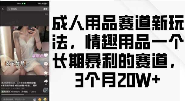 成人用品赛道新玩法，情趣用品一个长期暴利的赛道，3个月收益20个【揭秘】 - 严选资源大全 - 严选资源大全