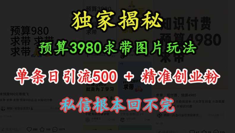 预算3980求带 图片玩法，单条日引流500+精准创业粉，私信根本回不完 - 严选资源大全 - 严选资源大全