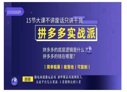 朋哥电商(拼多多实战派)，15节大课不讲废话只讲干货，简单粗暴 能落地 可复制 - 严选资源大全 - 严选资源大全