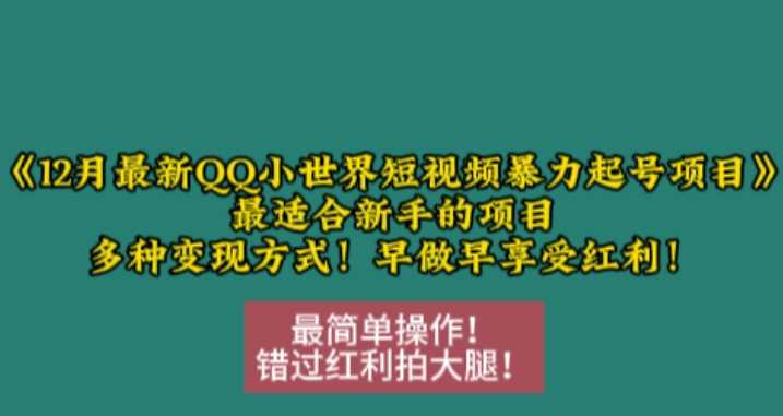 12月最新QQ小世界短视频暴力起号项目，最适合新手的项目，多种变现方式 - 严选资源大全 - 严选资源大全