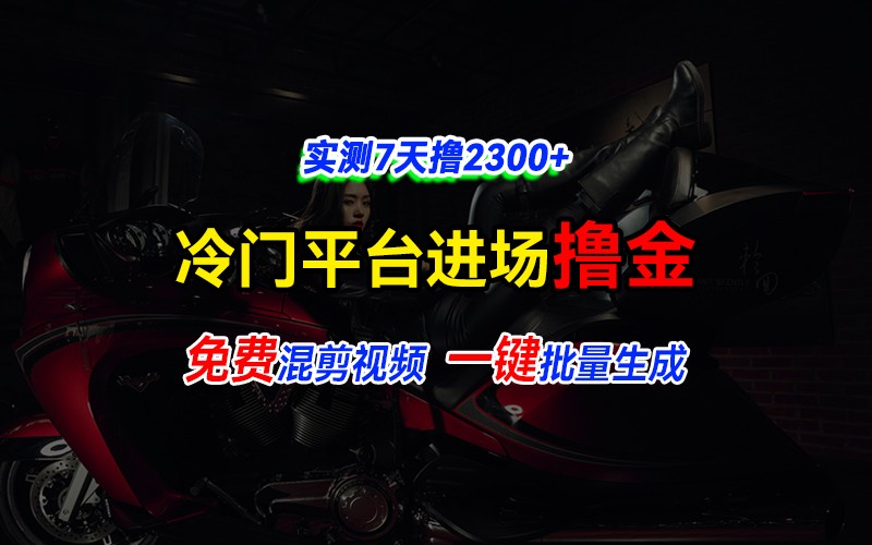 全新冷门平台vivo视频，快速免费进场搞米，通过混剪视频一键批量生成，实测7天撸2300+ - 严选资源大全 - 严选资源大全