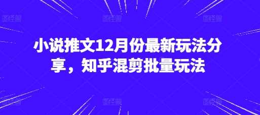 小说推文12月份最新玩法分享，知乎混剪批量玩法 - 严选资源大全 - 严选资源大全