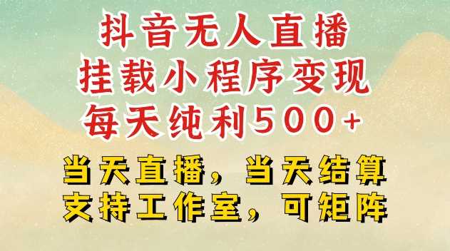 抖音无人直播挂载小程序变现每天纯利500+当天直播，当天结算支持工作室，可矩阵【揭秘】 - 严选资源大全 - 严选资源大全