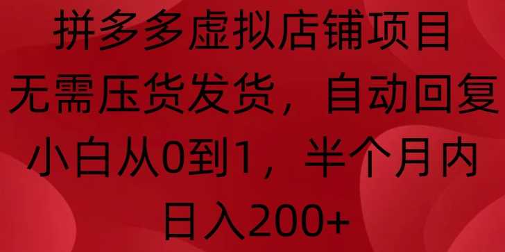 拼多多虚拟店铺项目，无需压货发货，自动回复，小白从0到1，半个月内日入200+【揭秘】 - 严选资源大全 - 严选资源大全