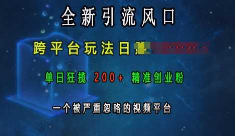 全新引流风口，跨平台玩法日入上k，单日狂揽200+精准创业粉，一个被严重忽略的视频平台 - 严选资源大全 - 严选资源大全