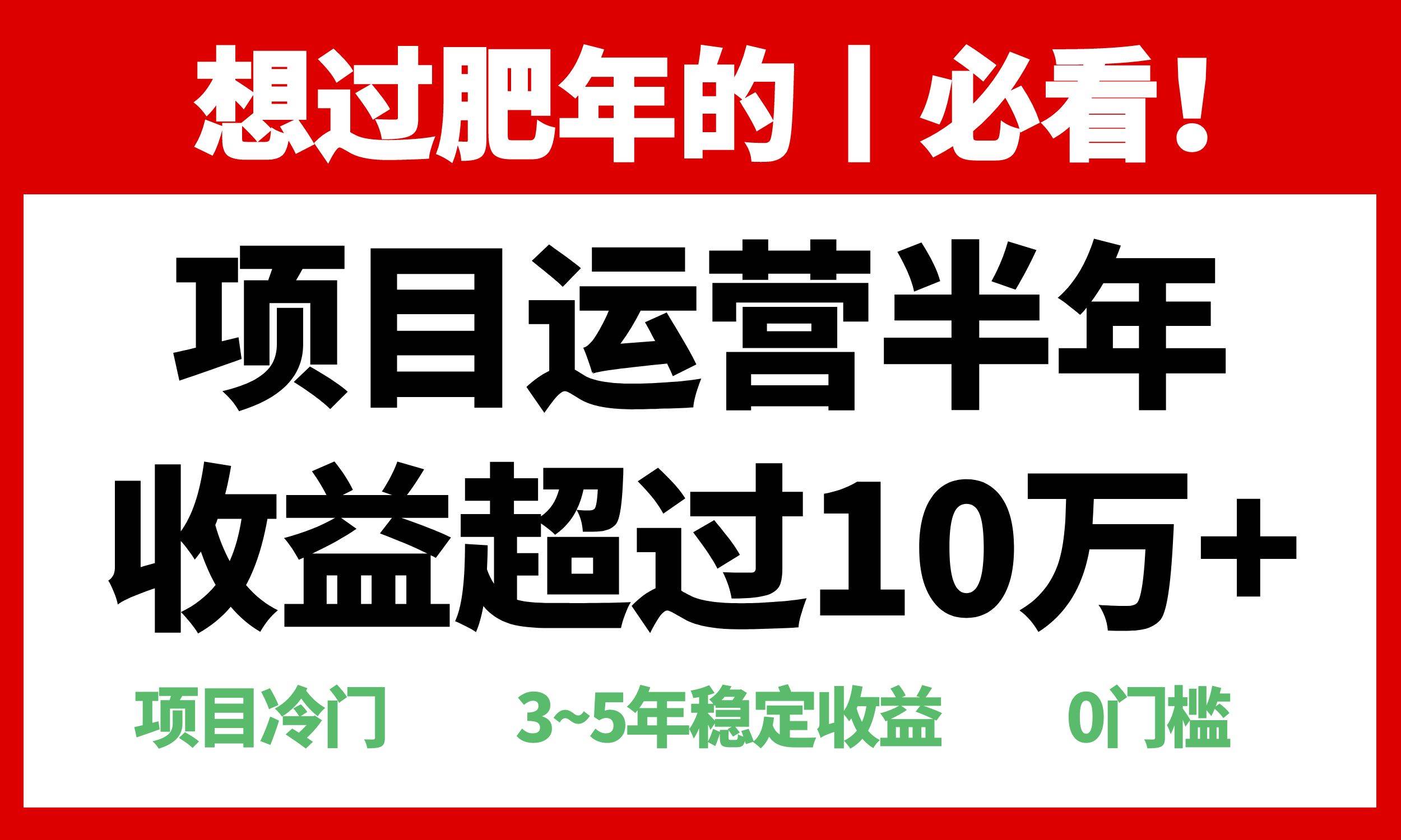 （13663期）年前过肥年的必看的超冷门项目，半年收益超过10万+， - 严选资源大全 - 严选资源大全