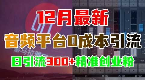 12月最新：音频平台0成本引流，日引流300+精准创业粉 - 严选资源大全 - 严选资源大全