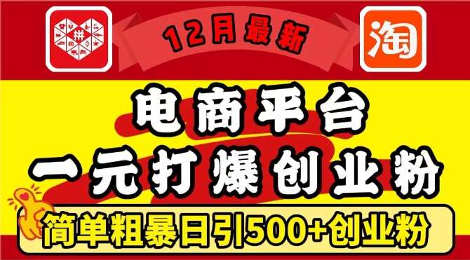 12月最新：电商平台1元打爆创业粉，简单粗暴日引500+精准创业粉，轻松月入过W【揭秘】 - 严选资源大全 - 严选资源大全