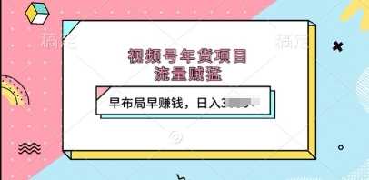 视频号年货项目，流量贼猛，早布局早挣钱，日入上k【揭秘】 - 严选资源大全 - 严选资源大全