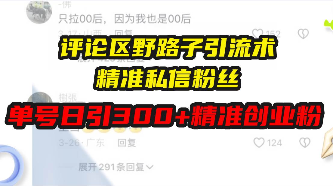 （13676期）评论区野路子引流术，精准私信粉丝，单号日引流300+精准创业粉 - 严选资源大全 - 严选资源大全