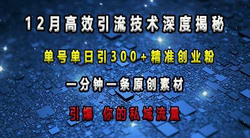 最新高效引流技术深度揭秘 ，单号单日引300+精准创业粉，一分钟一条原创素材，引爆你的私域流量 - 严选资源大全 - 严选资源大全