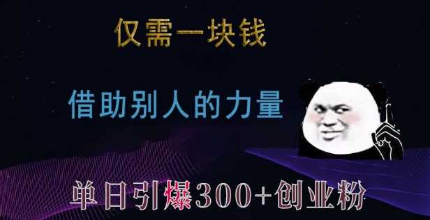 仅需一块钱，借助别人的力量，单日引爆300+创业粉、兼职粉【揭秘】 - 严选资源大全 - 严选资源大全