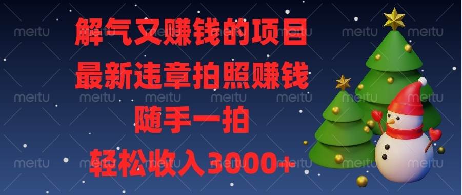 （13686期）解气又赚钱的项目，最新违章拍照赚钱，随手一拍，轻松收入3000+ - 严选资源大全 - 严选资源大全