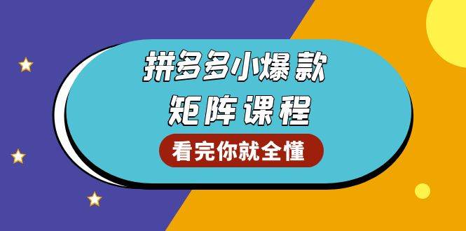 （13699期）拼多多爆款矩阵课程：教你测出店铺爆款，优化销量，提升GMV，打造爆款群 - 严选资源大全 - 严选资源大全