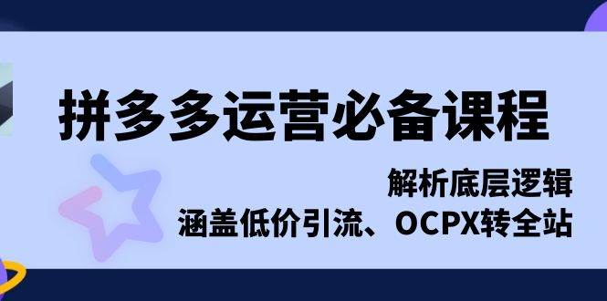 （13700期）拼多多运营必备课程，解析底层逻辑，涵盖低价引流、OCPX转全站 - 严选资源大全 - 严选资源大全