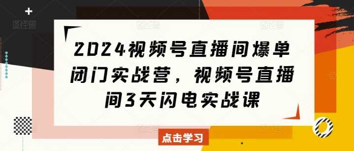 2024视频号直播间爆单闭门实战营，视频号直播间3天闪电实战课 - 严选资源大全 - 严选资源大全