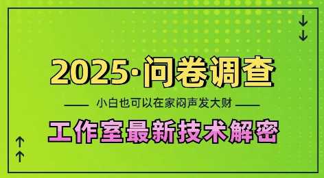 2025问卷调查最新工作室技术解密：一个人在家也可以闷声发大财，小白一天2张，可矩阵放大【揭秘】 - 严选资源大全 - 严选资源大全