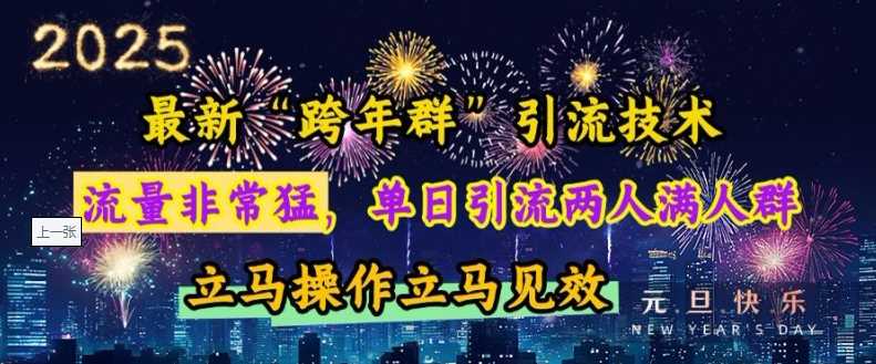 最新“跨年群”引流，流量非常猛，单日引流两人满人群，立马操作立马见效【揭秘】 - 严选资源大全 - 严选资源大全