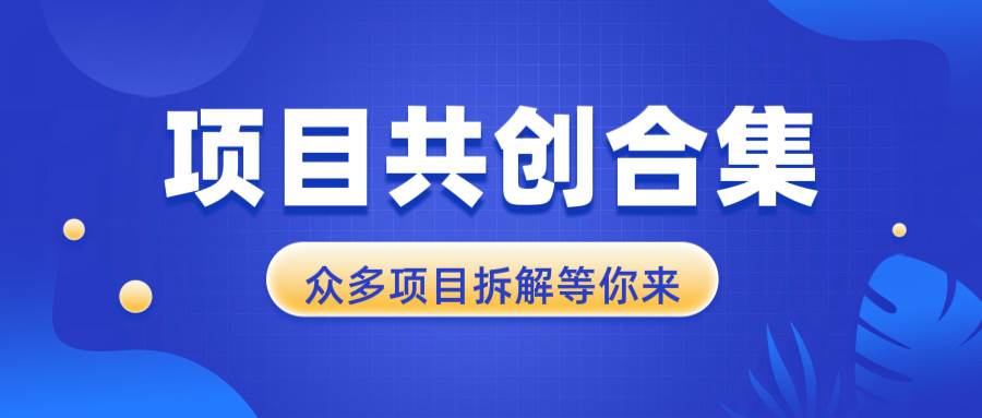 （13778期）项目共创合集，从0-1全过程拆解，让你迅速找到适合自已的项目 - 严选资源大全 - 严选资源大全