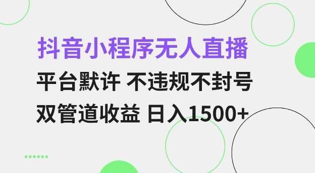 抖音小程序无人直播 平台默许 不违规不封号 双管道收益 日入多张 小白也能轻松操作【仅揭秘】 - 严选资源大全 - 严选资源大全