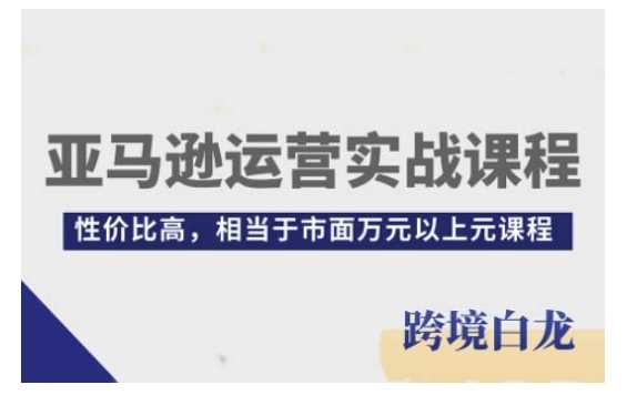 亚马逊运营实战课程，亚马逊从入门到精通，性价比高，相当于市面万元以上元课程 - 严选资源大全 - 严选资源大全