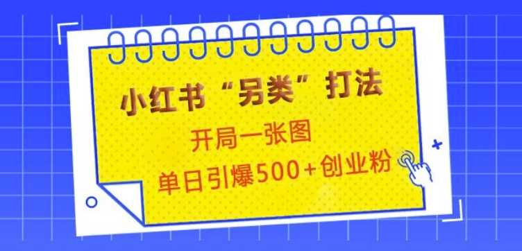 小红书“另类”打法，开局一张图，单日引爆500+精准创业粉【揭秘】 - 严选资源大全 - 严选资源大全