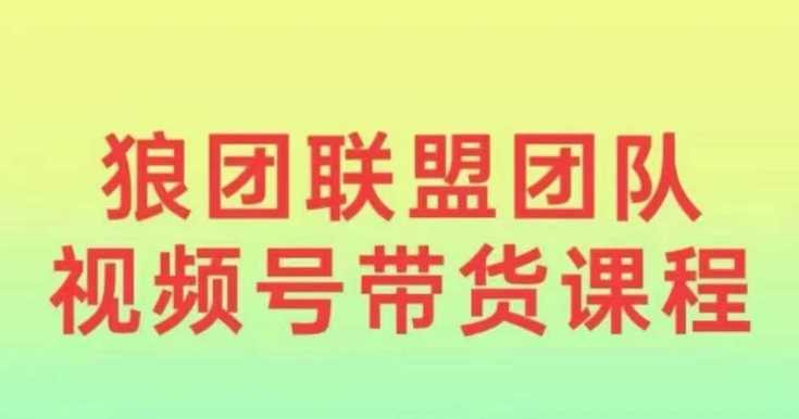 狼团联盟2024视频号带货，0基础小白快速入局视频号 - 严选资源大全 - 严选资源大全