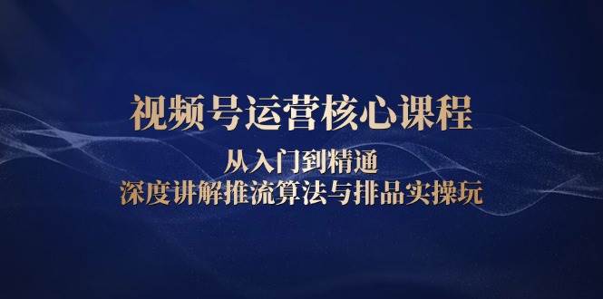 （13863期）视频号运营核心课程，从入门到精通，深度讲解推流算法与排品实操玩 - 严选资源大全 - 严选资源大全