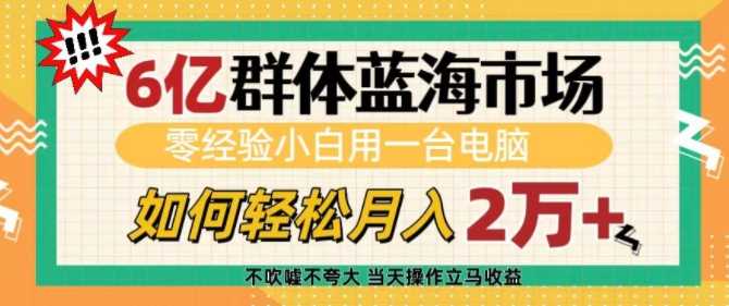 6亿群体蓝海市场，零经验小白用一台电脑，如何轻松月入过w【揭秘】 - 严选资源大全 - 严选资源大全