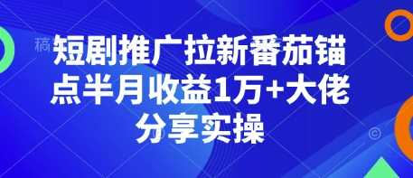 短剧推广拉新番茄锚点半月收益1万+大佬分享实操 - 严选资源大全 - 严选资源大全