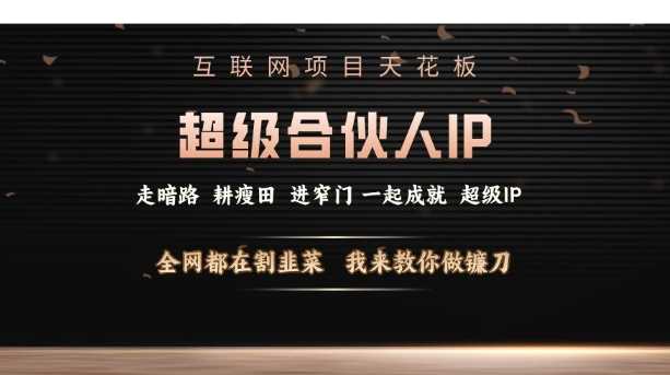 互联网项目天花板，超级合伙人IP，全网都在割韭菜，我来教你做镰刀【仅揭秘】 - 严选资源大全 - 严选资源大全