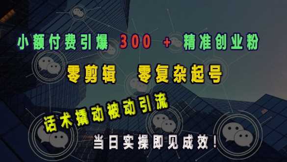 小额付费引爆 300 + 精准创业粉，零剪辑、零复杂起号，话术撬动被动引流，当日实操即见成效 - 严选资源大全 - 严选资源大全