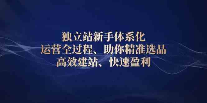 独立站新手体系化 运营全过程，助你精准选品、高效建站、快速盈利 - 严选资源大全 - 严选资源大全