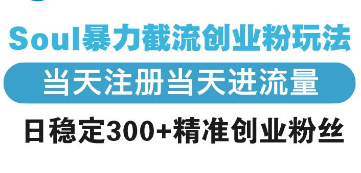 （13935期）Soul暴力截流创业粉玩法，当天注册当天进流量，日稳定300+精准创业粉丝 - 严选资源大全 - 严选资源大全