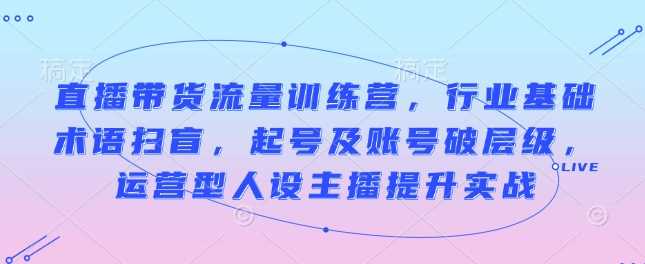 直播带货流量训练营，行业基础术语扫盲，起号及账号破层级，运营型人设主播提升实战 - 严选资源大全 - 严选资源大全