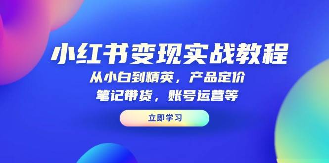 小红书变现实战教程：从小白到精英，产品定价，笔记带货，账号运营等 - 严选资源大全 - 严选资源大全