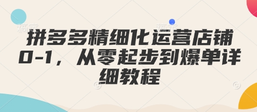 拼多多精细化运营店铺0-1，从零起步到爆单详细教程 - 严选资源大全 - 严选资源大全