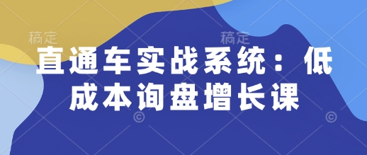 直通车实战系统：低成本询盘增长课，让个人通过技能实现升职加薪，让企业低成本获客，订单源源不断 - 严选资源大全 - 严选资源大全