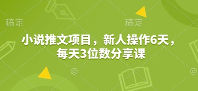 小说推文项目，新人操作6天，每天3位数分享课 - 严选资源大全 - 严选资源大全