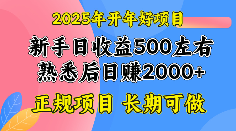 2025开年好项目，单号日收益2000左右 - 严选资源大全 - 严选资源大全