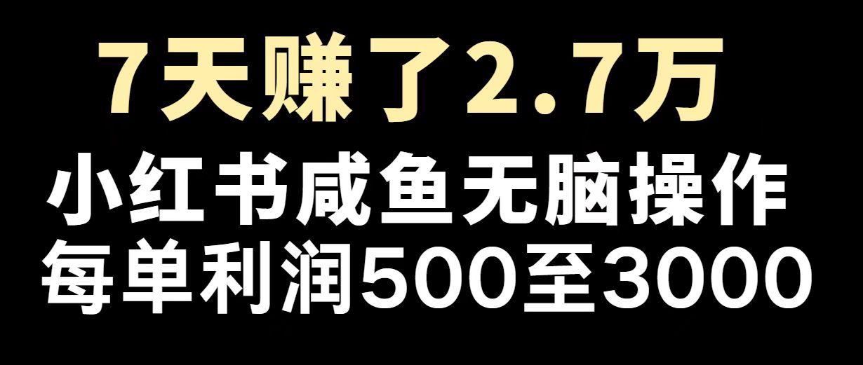 最赚钱项目之一，2025爆火，逆风翻盘！ - 严选资源大全 - 严选资源大全