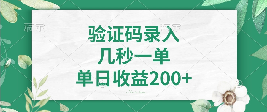 验证码录入，几秒一单，单日收益200+ - 严选资源大全 - 严选资源大全