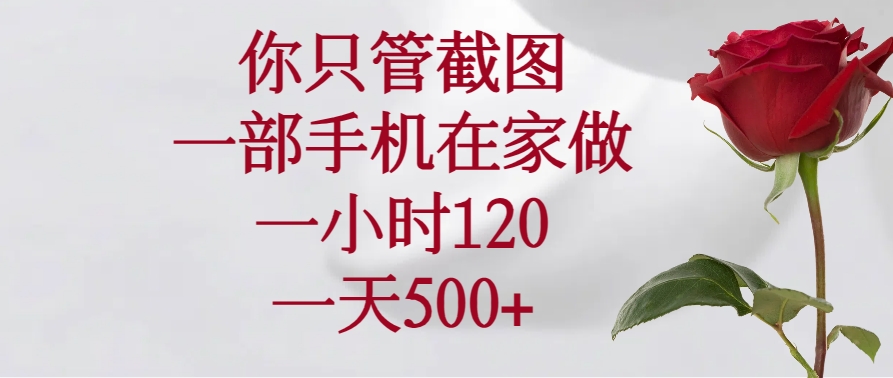 你只管截图，一部手机在家做，一小时120，一天500+ - 严选资源大全 - 严选资源大全