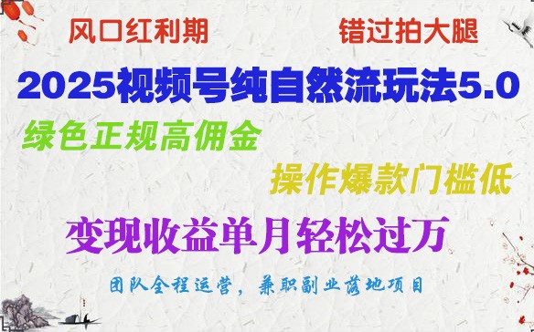 2025视频号纯自然流玩法5.0，绿色正规高佣金，操作爆款门槛低，变现收益单月轻松过万 - 严选资源大全 - 严选资源大全