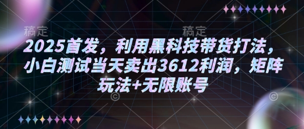 2025首发，利用黑科技带货打法，小白测试当天卖出3612利润，矩阵玩法+无限账号【揭秘】 - 严选资源大全 - 严选资源大全